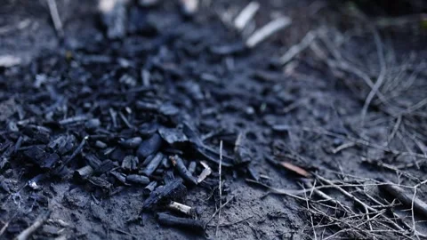 Campfire Remains on Mt Lofty Trail with Charred Ashes and Lush Greenery Stock Footage 336305012