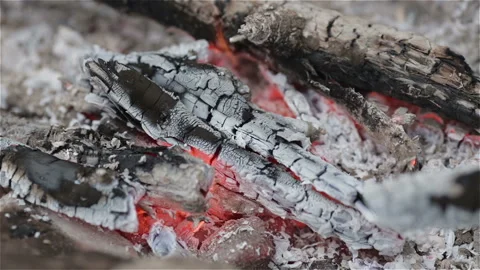 Campfire in rock fire ring Stock Footage 100538435