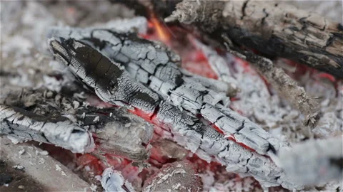 Campfire in rock fire ring Stock Footage 100538541