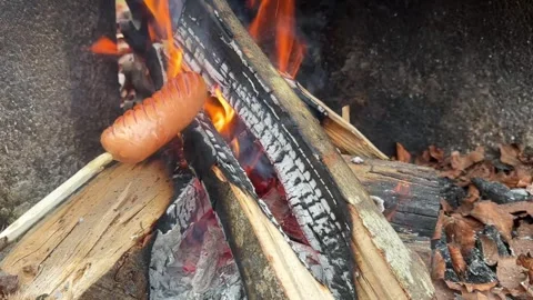 Campfire Sausage Cooking with a Rustic Twist Stock Footage 296501404