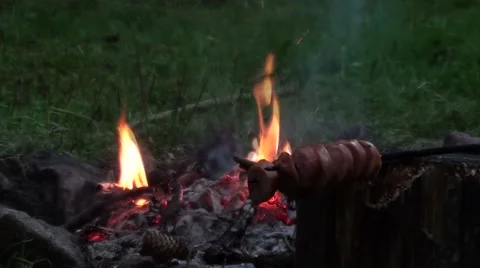 Campfire with sausage Stock Footage 53230035