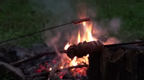 Campfire with sausages Stock Footage 53230081