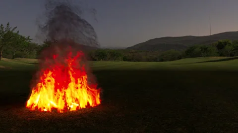 Campfire scene at night. 3d animation of a campfire in the evening Video stock 288313820