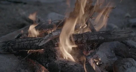 Campfire set ablaze in the forest Stock-Footage 104207677