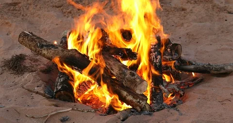 Campfire on the shore of a sandy beach Stock Footage 98662832