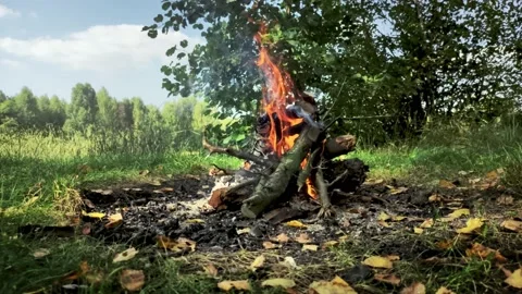 Campfire on the side of the lake in the middle of the forest. Video stock 161022710