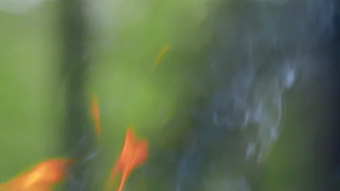 Campfire slow motion Burning fire, many dangerous flames Stock Footage 141252035