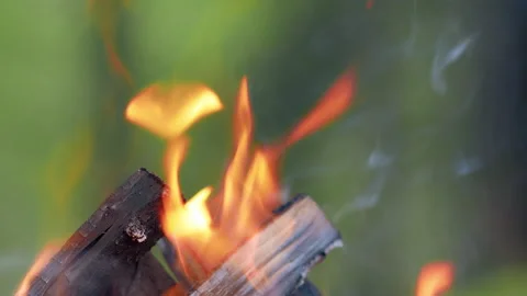 Campfire slow motion Camp fire with tree wood Stock Footage 141253613
