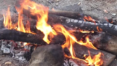 Campfire in Slow Motion (Closeup) Stock Footage 303515740