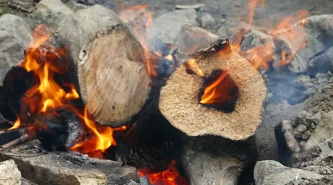 Campfire, Slow motion Stock Footage 68361995