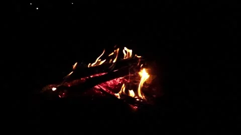 Campfire in slow motion Video stock 169152461