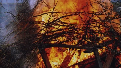 Campfire with smoke close-up on nature background Stock Footage 106600073
