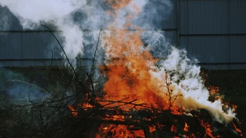 Campfire with smoke close-up on nature background Stock Footage 106600123