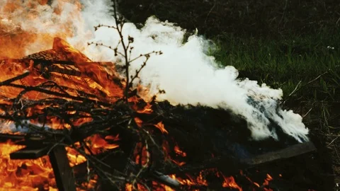Campfire with smoke close-up on nature background Stock Footage 106600145
