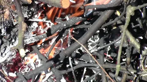 Campfire with smoke Stock Footage 22743962