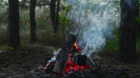 Campfire smoking in the dense forest with glowing embers close up 動画素材 345121913