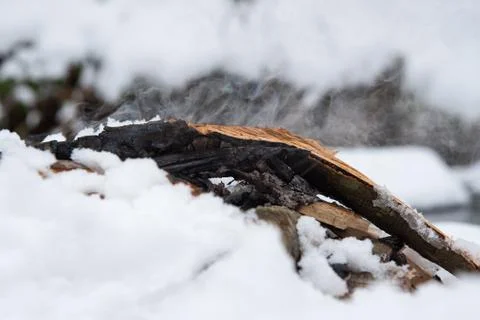 Campfire on snow in the winter forest Stock Photos
