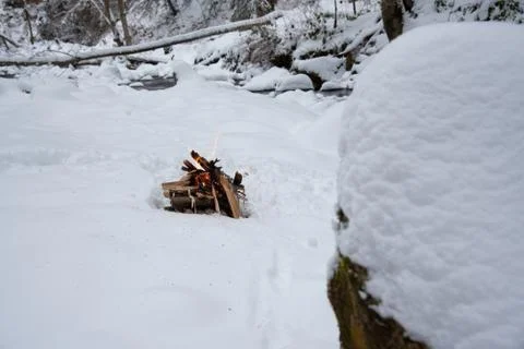 Campfire on snow in the winter forest Stock Photos