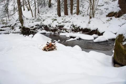 Campfire on snow in the winter forest Stock Photos