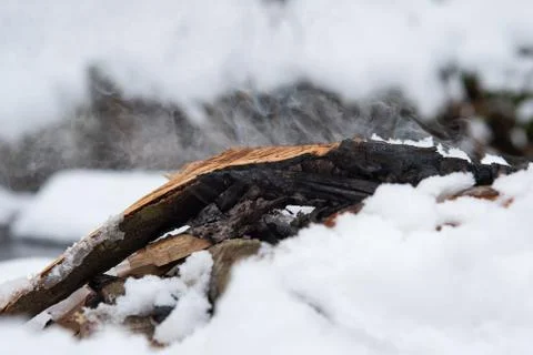Campfire on snow in the winter forest Stock Photos