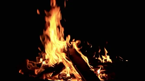 Campfire with sound in the dark Stock Footage 221405431