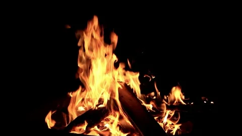 Campfire with sound in the dark Stock Footage 246295283