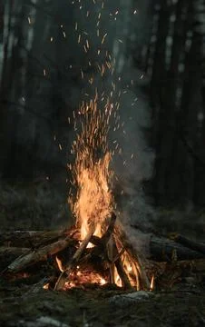 Campfire Sparks in the Dark Forest Stock Photos