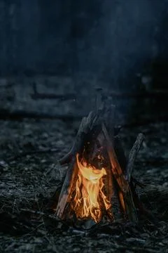 Campfire Sparks in the Dark Forest Stock Photos