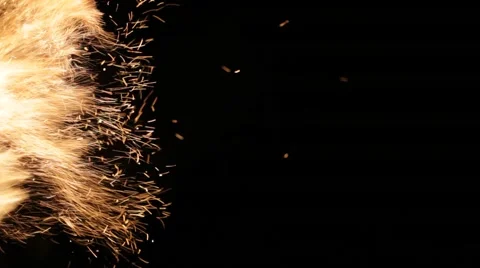 Campfire sparks at night on beach Stock Footage 62442804