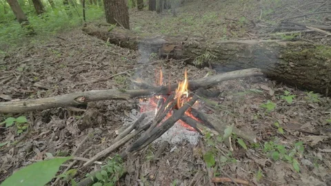 Campfire at a spring forest burning at full power Vidéo 118112548