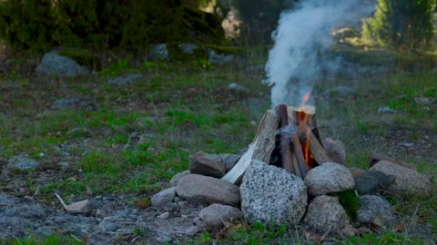 Campfire Starting with Smoke in the Forest Video stock 316685399