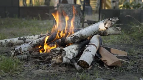 Campfire in summer. Burning birch branches. Stock Footage 245262756