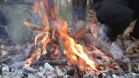Campfire in summer forest Video stock 98267996