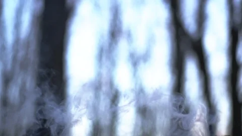 Campfire in summer forest Video stock 98268214