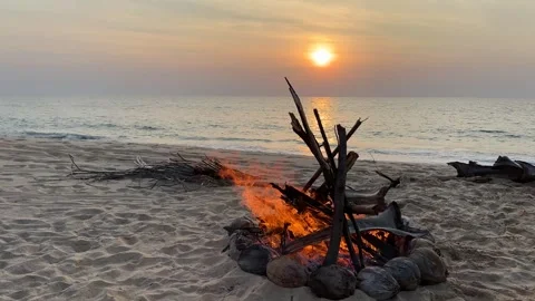 Campfire on the sunset at the tropical beach Stock Footage 277597815
