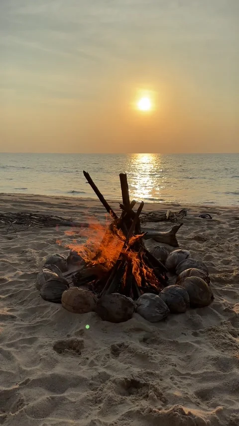 Campfire on the sunset at the tropical beach Stock Footage 277688014