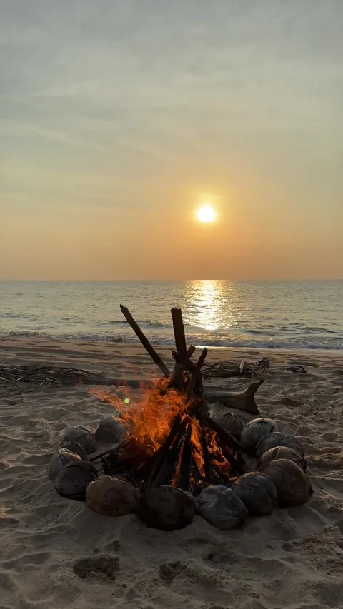 Campfire on the sunset at the tropical beach Stock Footage 277688233