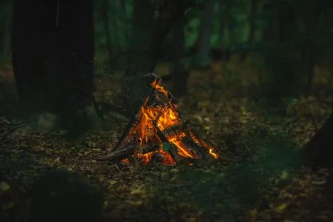 Campfire in Tepee Shape Burning in the Woods Foto stock