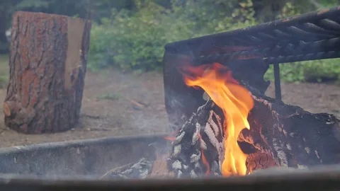 Campfire Timelapse Stock Footage 80139060