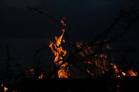 Campfire at twilight on beach Stock Photos