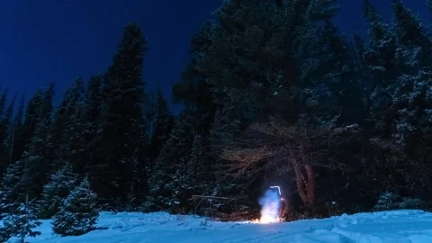 Campfire under pines in the winter timelapse Stock Footage 310535872