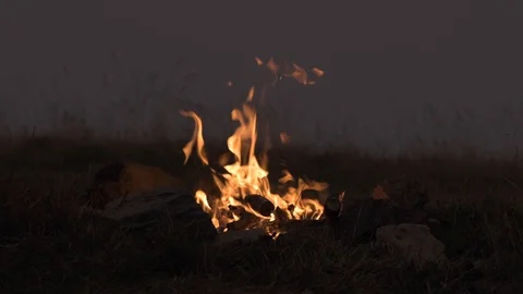 Campfire Warmth Stock Footage 117070386