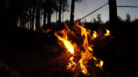 Campfire wide shot 스톡 동영상 53269114