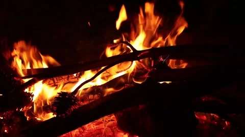 Campfire in the Wind at Night Stock Footage 325654509