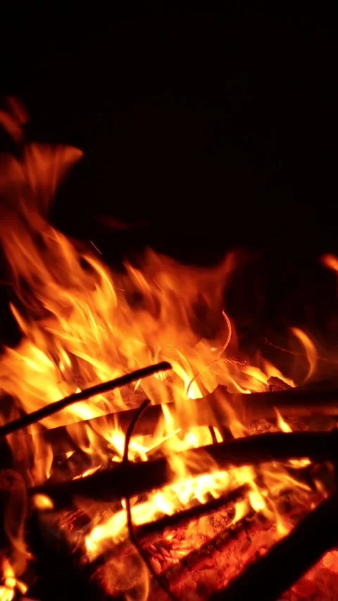 Campfire in the Wind at Night (Vertical Video) Stock Footage 325654536