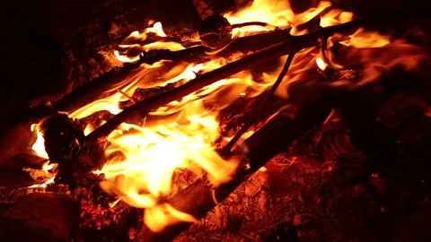 Campfire on a Windy Night Stock Footage 325654470