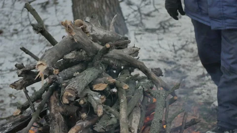 Campfire in the winter forest Stock Footage 101321264