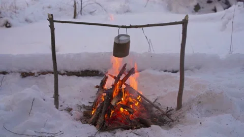 Campfire in winter forest Video stock 146572092