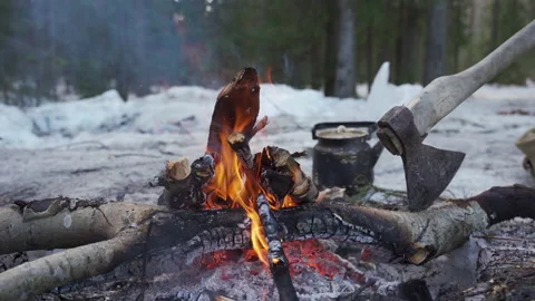 Campfire in winter forest Vidéo 151221298