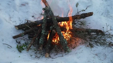 Campfire in the winter forest Stockbeeldmateriaal 233594344